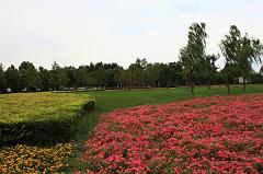 29-Pechino,8 luglio 2014